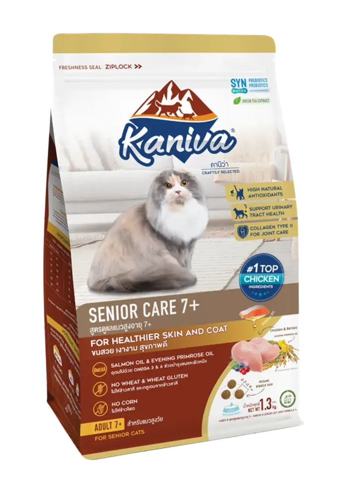 senior care 7+