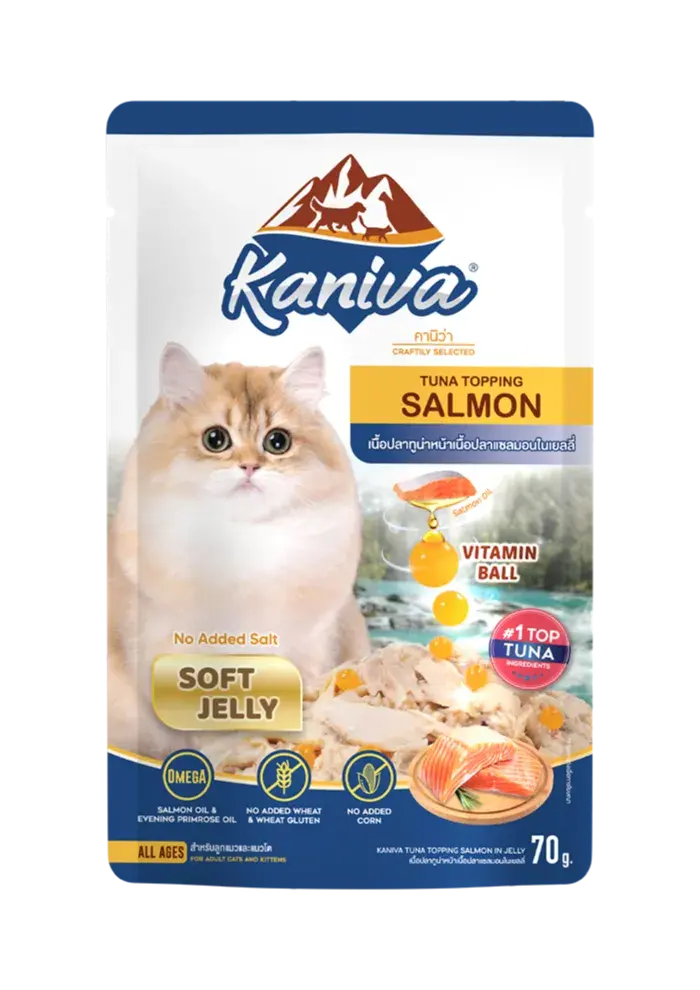 tuna with salmon in soft jelly