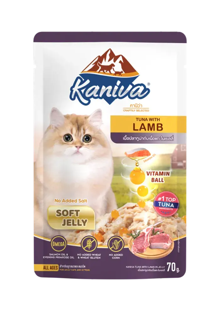 tuna with lamb in soft jelly
