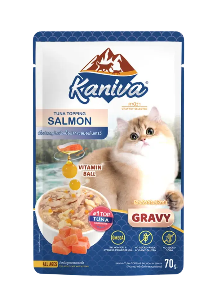 tuna with salmon in gravy