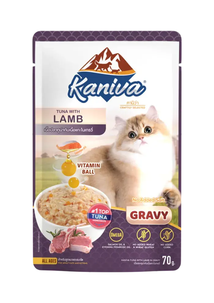 tuna with lamb in gravy