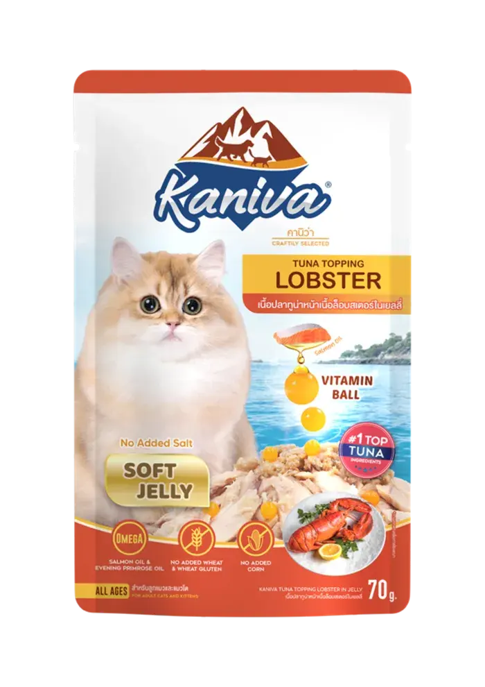 tuna topping lobster in soft jelly