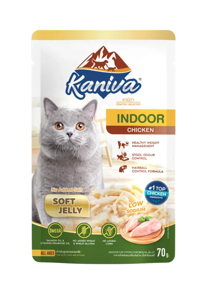 indoor chicken in soft jelly