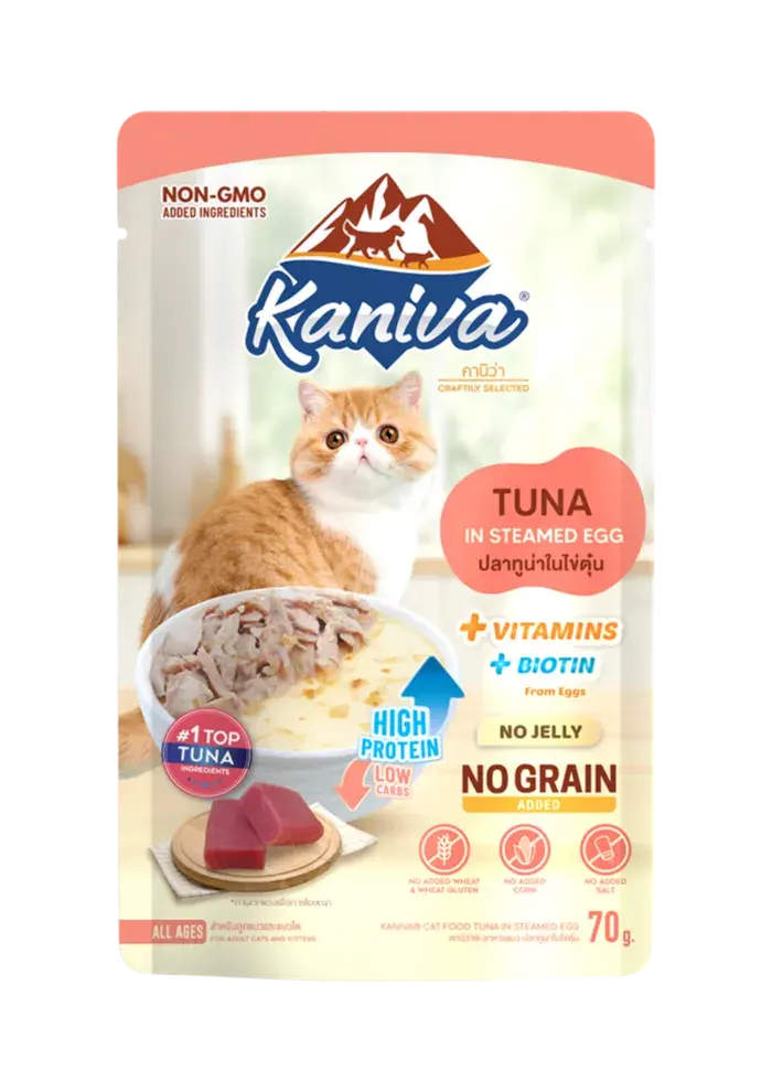 tuna in steamed egg