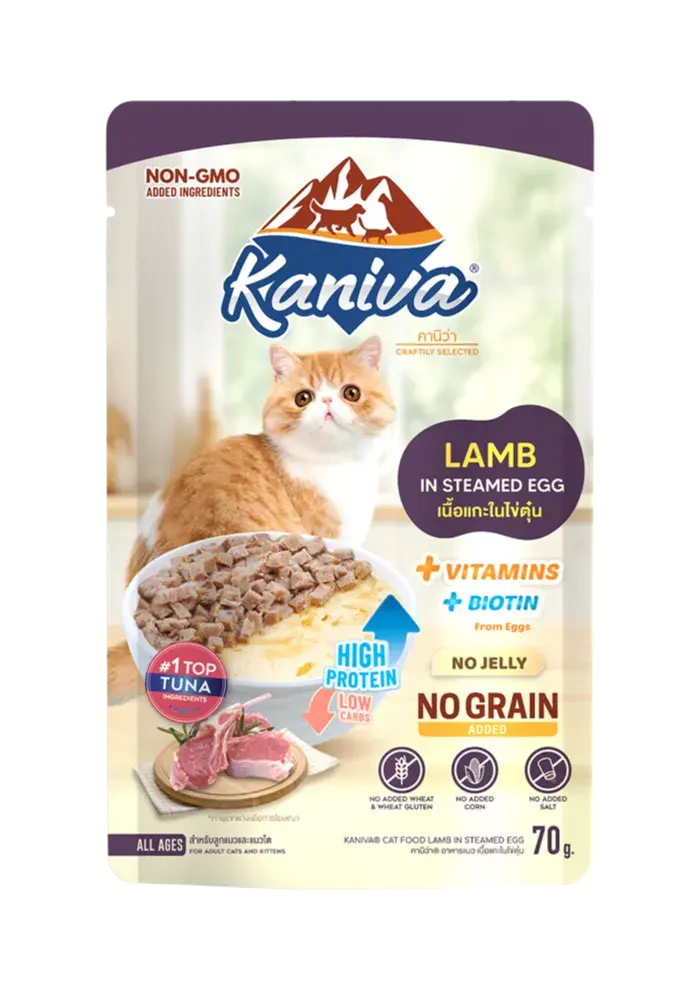 lamb in steamed egg