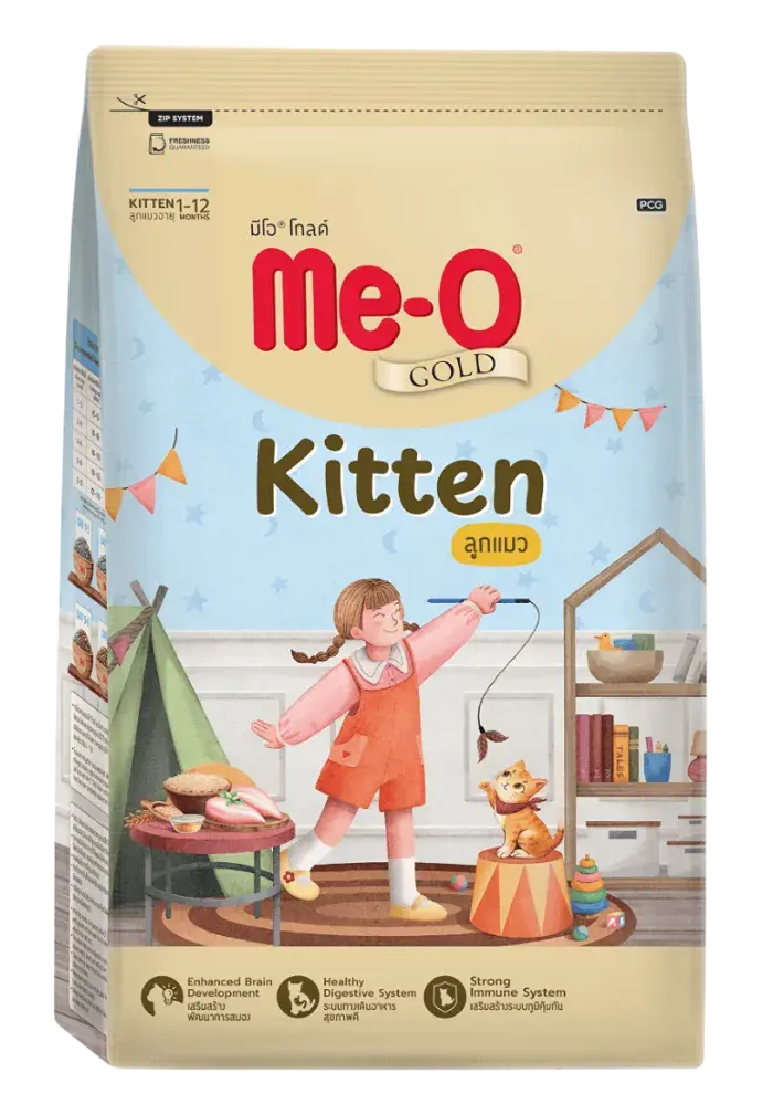 kitten