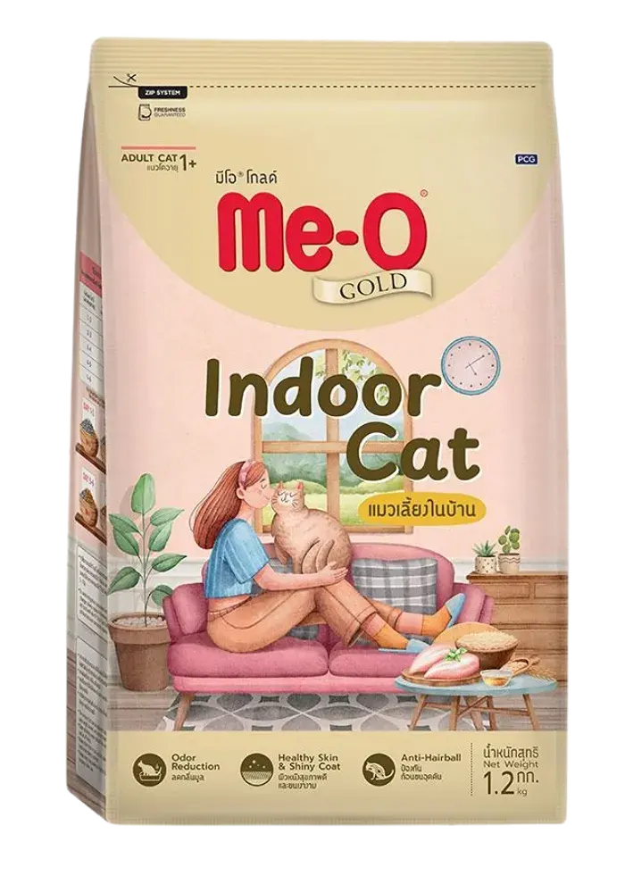 indoor cat